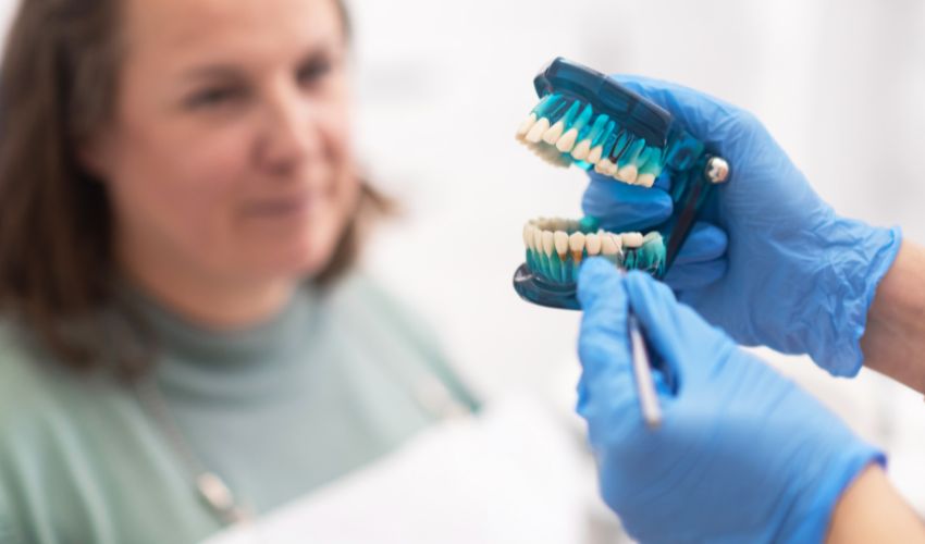 Diş hekimi, hastasına vidasız implant hakkında bilgi verirken diş modeli gösteriyor.